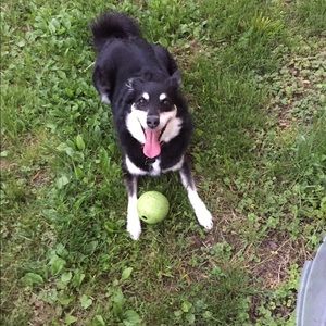 Meet your Posher, Jonathan